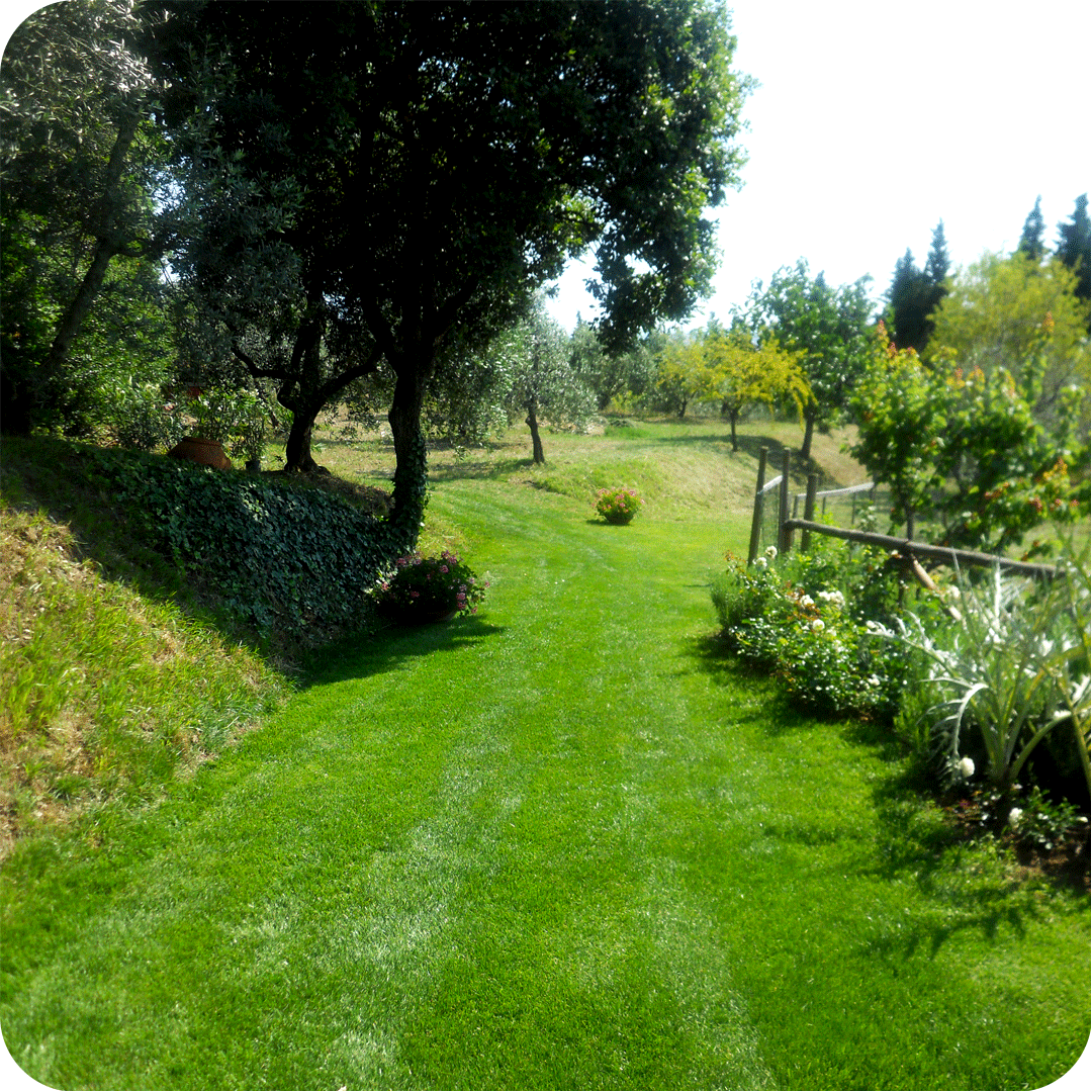 DSCN0591.progettazione_cascinale-pastina-2