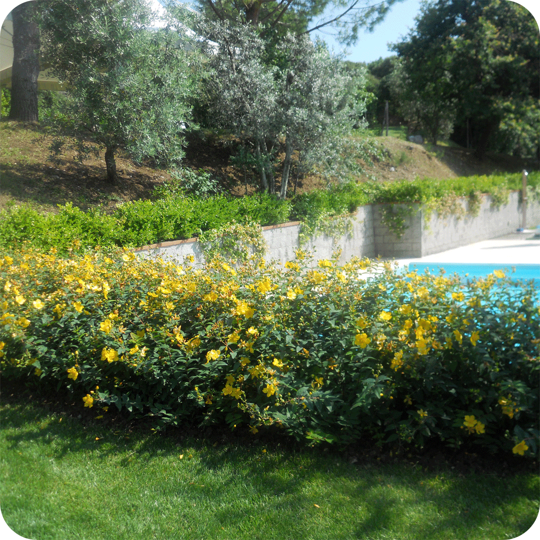manutenzione-giardini-5