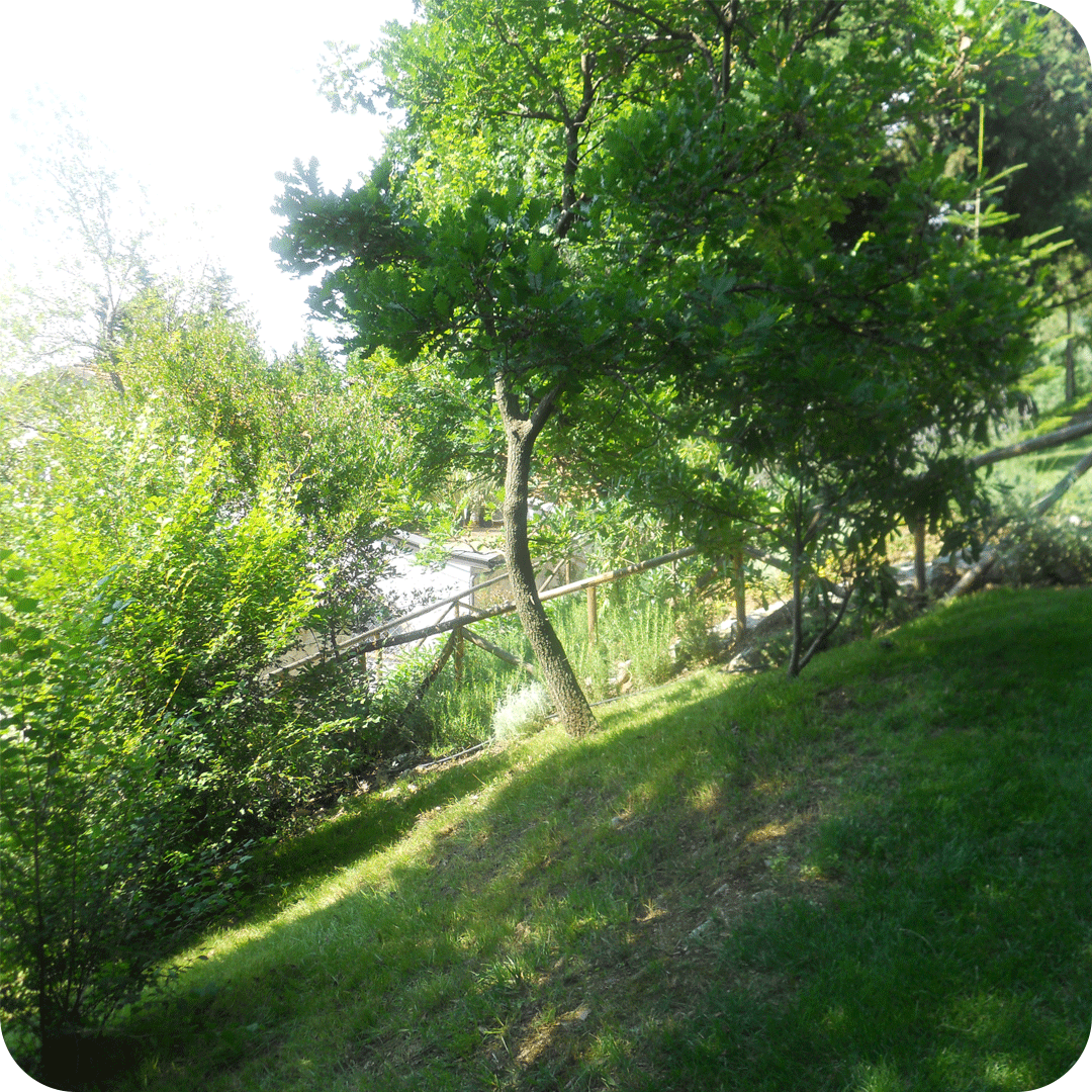 manutenzione-giardini-6