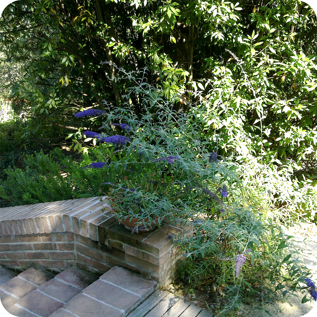 realizzazione-giardini-2